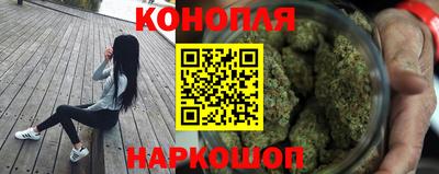 гидра Краснокаменск