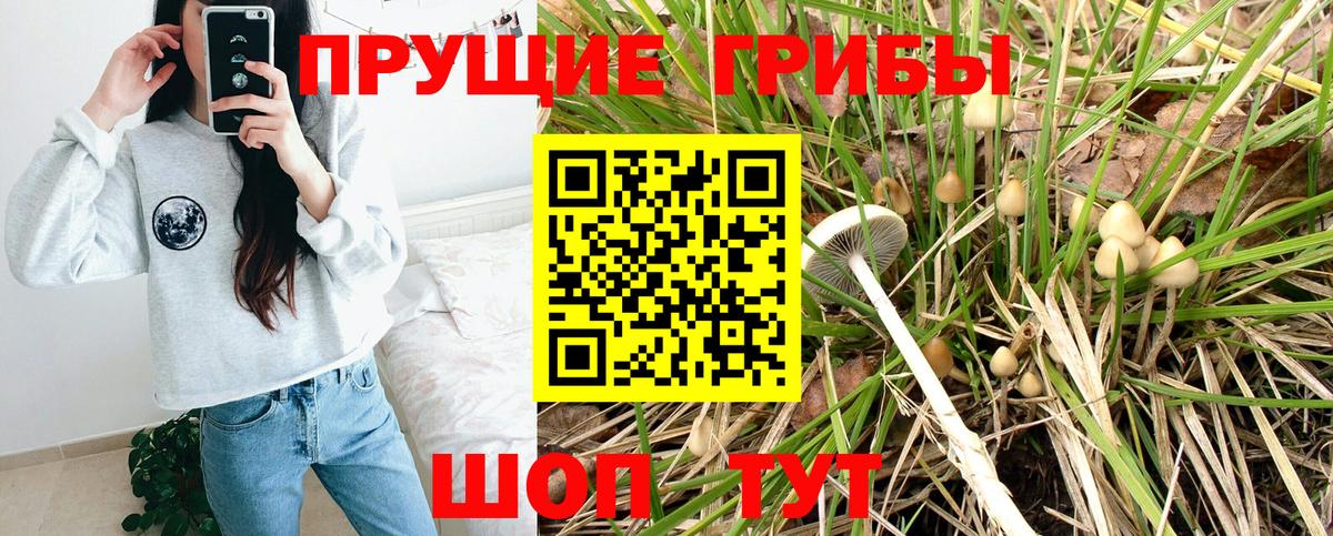 Касимов  Галлюциногенные грибы GOLDEN TEACHER  Вход с VPN 