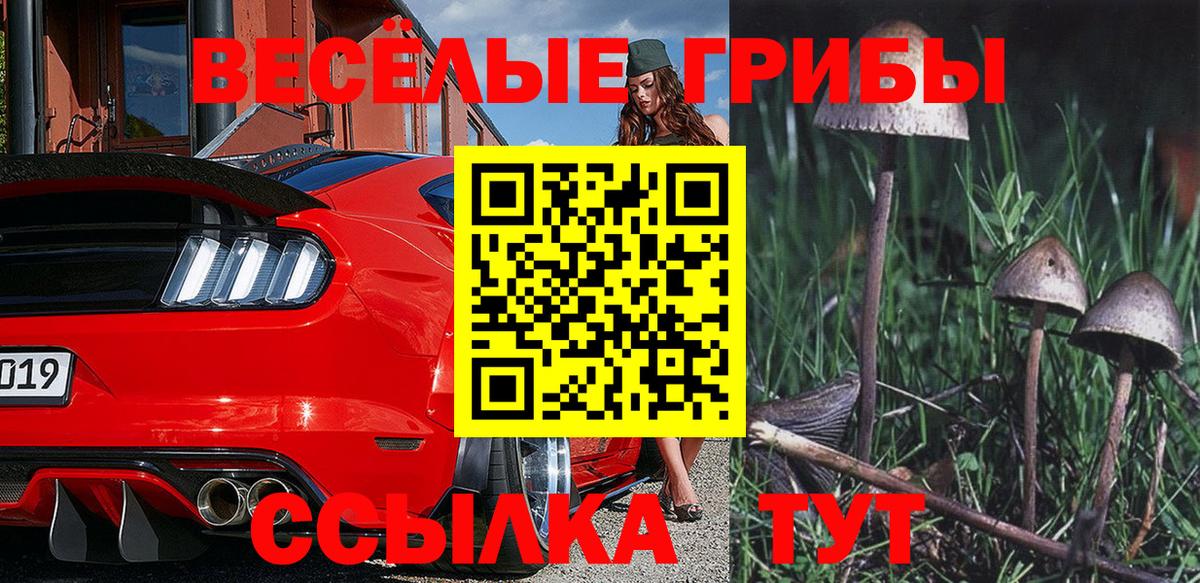 Псилоцибиновые грибы мухоморы Касимов